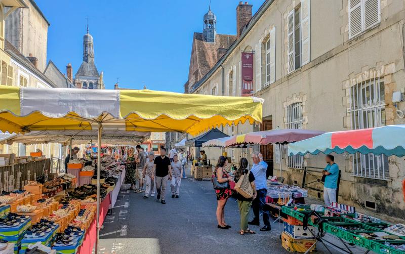 DÉBAT PUBLIC SUR DEUX PROJETS NUCLÉAIRES DANS L'AUBE ET EN INDRE-ET-LOIRE