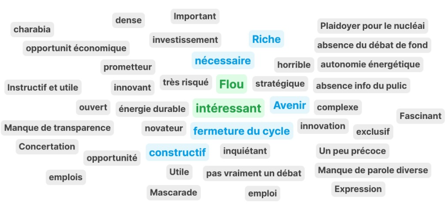 Nuage de mots de mi-débat